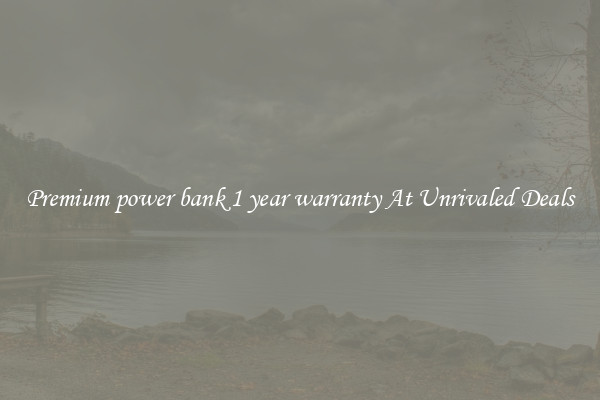 Premium power bank 1 year warranty At Unrivaled Deals