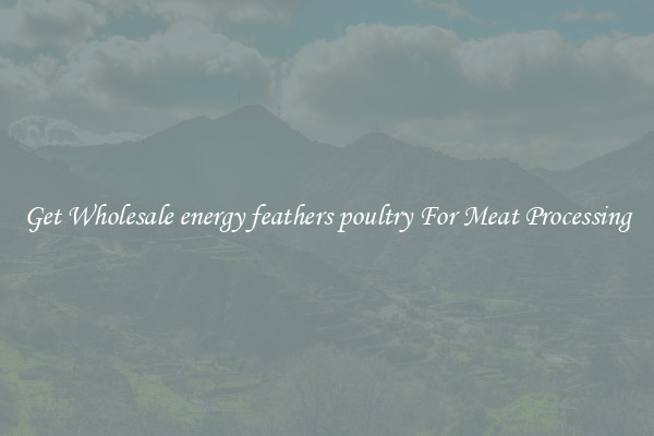 Get Wholesale energy feathers poultry For Meat Processing