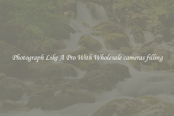 Photograph Like A Pro With Wholesale cameras filling