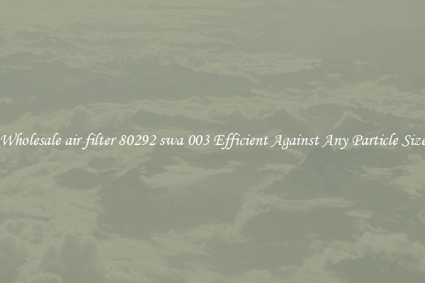Wholesale air filter 80292 swa 003 Efficient Against Any Particle Size