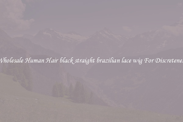 Wholesale Human Hair black straight brazilian lace wig For Discreteness