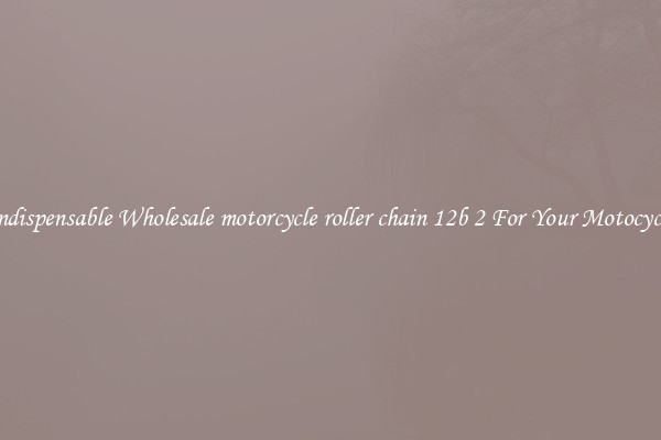 Indispensable Wholesale motorcycle roller chain 12b 2 For Your Motocycle