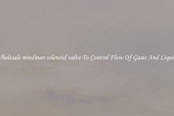 Wholesale mindman solenoid valve To Control Flow Of Gases And Liquids