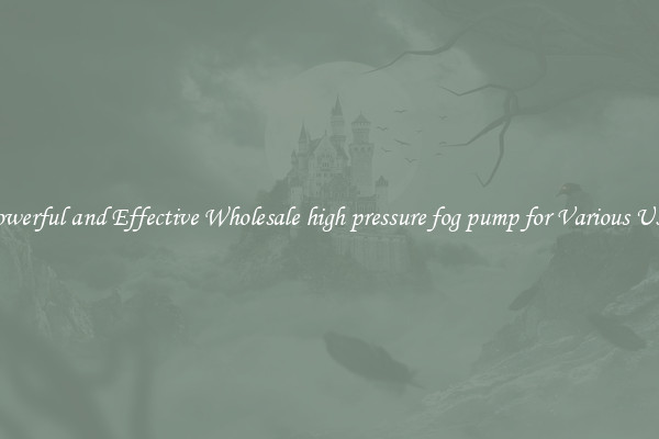 Powerful and Effective Wholesale high pressure fog pump for Various Uses