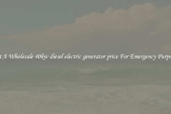 Get A Wholesale 40kw diesel electric generator price For Emergency Purposes