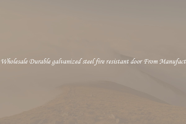 Buy Wholesale Durable galvanized steel fire resistant door From Manufacturers