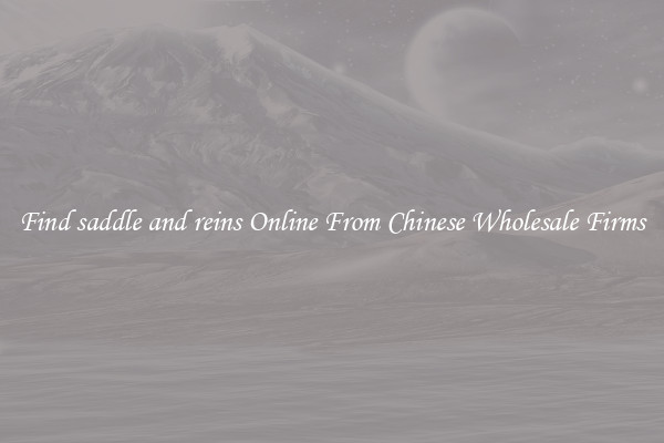 Find saddle and reins Online From Chinese Wholesale Firms
