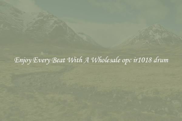 Enjoy Every Beat With A Wholesale opc ir1018 drum