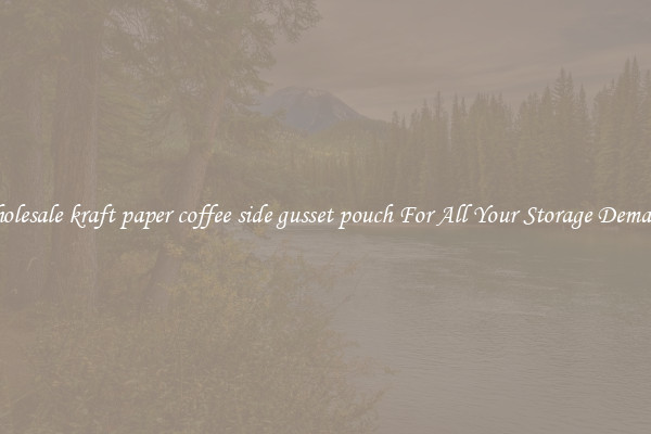 Wholesale kraft paper coffee side gusset pouch For All Your Storage Demands