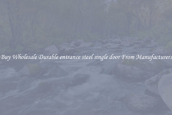 Buy Wholesale Durable entrance steel single door From Manufacturers