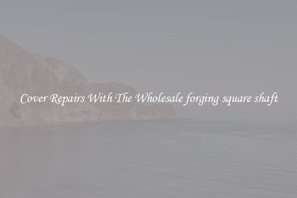  Cover Repairs With The Wholesale forging square shaft 