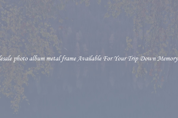 Wholesale photo album metal frame Available For Your Trip Down Memory Lane