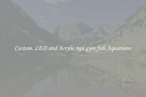 Custom, LED and Acrylic nga gyin fish Aquariums