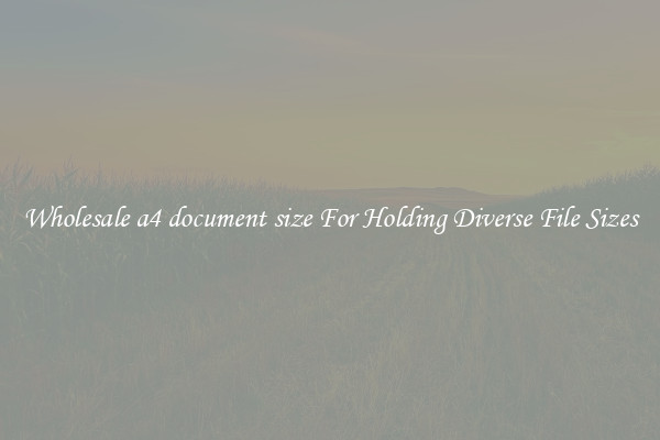 Wholesale a4 document size For Holding Diverse File Sizes