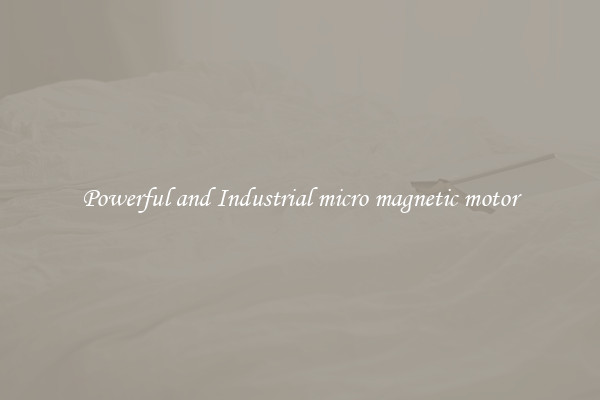 Powerful and Industrial micro magnetic motor