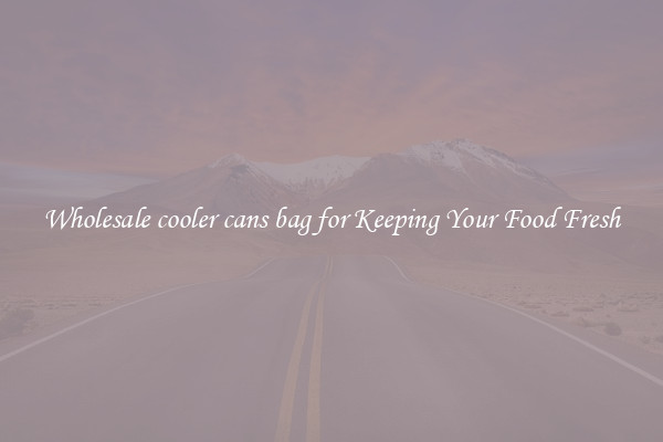Wholesale cooler cans bag for Keeping Your Food Fresh