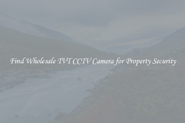 Find Wholesale TVT CCTV Camera for Property Security