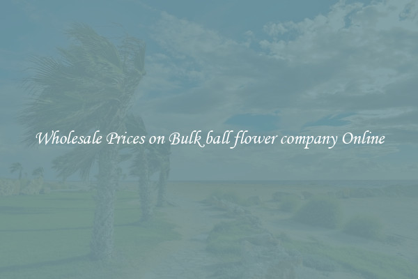 Wholesale Prices on Bulk ball flower company Online