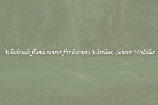 Wholesale flame sensor for burners Wireless, Sensor Modules