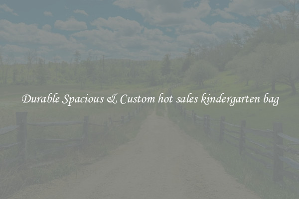 Durable Spacious & Custom hot sales kindergarten bag
